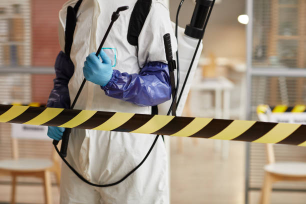 Professional Biohazard technician working in Eastport, NY